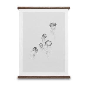 Paper Collective Jellyfish Juliste 50x70 Cm